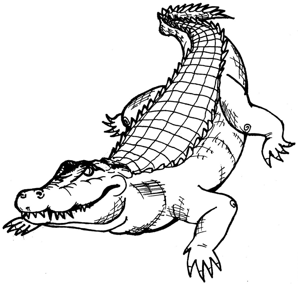 Alligator Air LLC